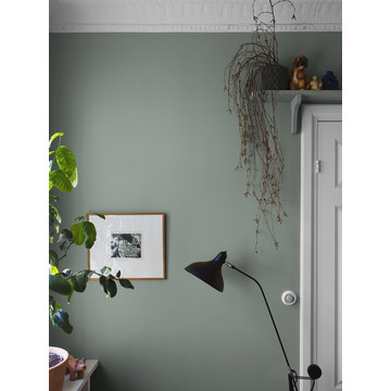 CopperGreen_Image_Roomshot_Hallway_Item_7557