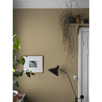 Goldsand_Image_Roomshot_Hallway_Item_7579