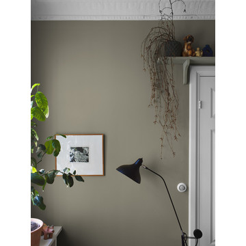 LightOlive_Image_Roomshot_Hallway_Item_7558