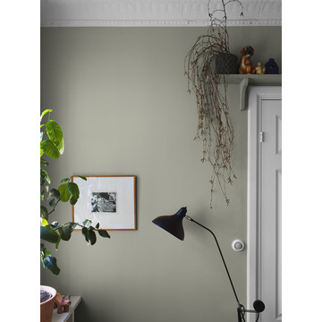 LindenGreen_Image_Roomshot_Hallway_Item_7559