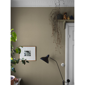 MountainSand_Image_Roomshot_Hallway_Item_7577