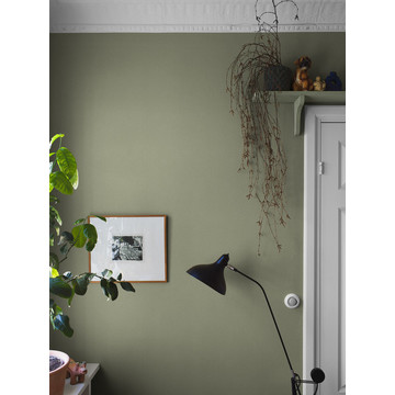 OlivineSand_Image_Roomshot_Hallway_Item_7582