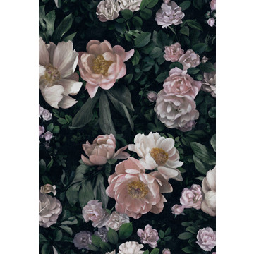 In_Bloom_7234_New_Dawn_Rose_53x76cm_halfdrop