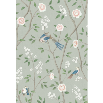 Paradise Birds 1903