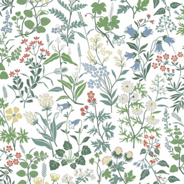 4180_Flora