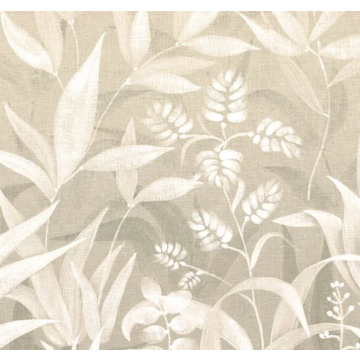 SAONA LIN CLOSEUP