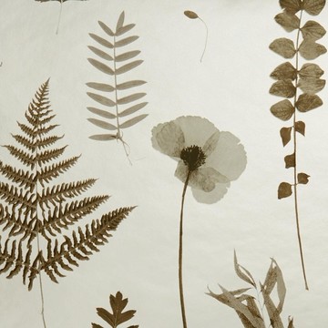 Herbarium Charcoal/Gold W0091/02
