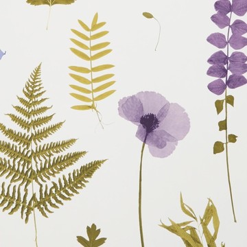 Herbarium W0091-03