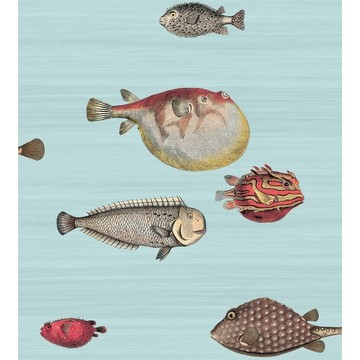 C&S_Fornasetti_Acquario_97-10030