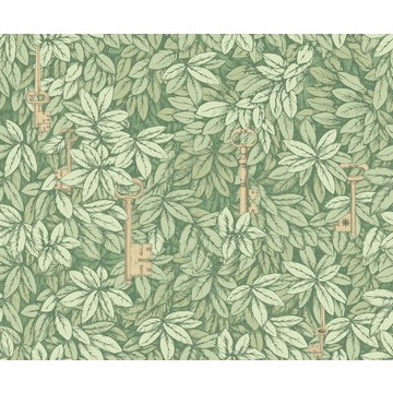 Chiavi Segrete Olive 114/9018