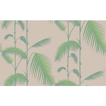 Palm Leaves 66/2011