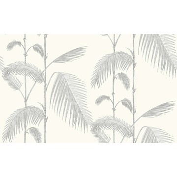 Palm Leaves 95/1008
