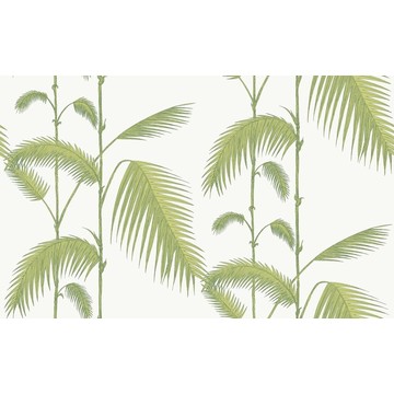 Palm Leaves 95/1009