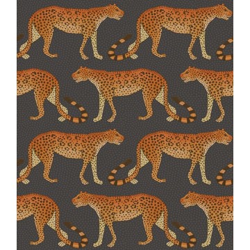 Leopard 109-2008