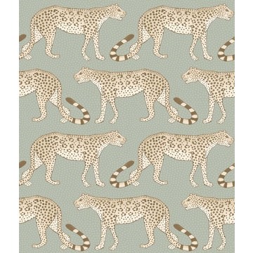 Leopard Walk 109/2009