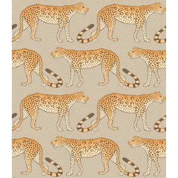 Leopard Walk 109/2010