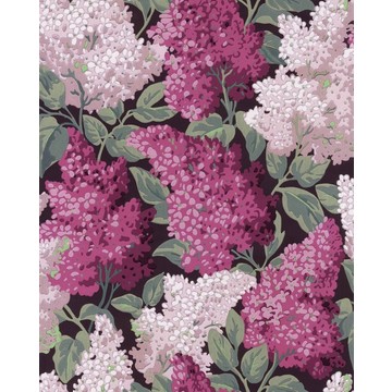 C&S_Botanical ~Botanica~_Lilac Grandiflora ~Syringa vulgaris~ 115-15045_RGB