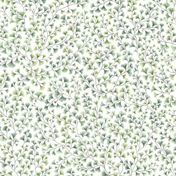 Maidenhair 115/6018