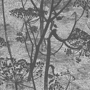 Cow Parsley Charcoal 112/8026
