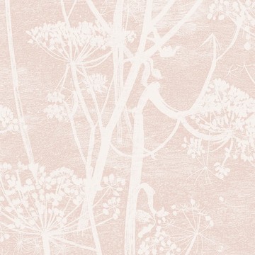 Cole & Son_Icons_Cow Parsley_112-8028