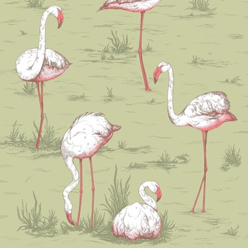Flamingos Olive 112/11038