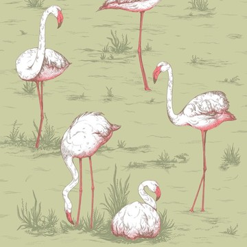 Cole & Son_Icons_Flamingo_112-11038