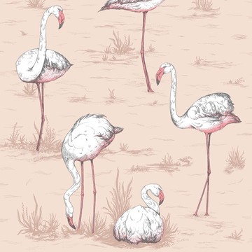 Cole & Son_Icons_Flamingo_112-11039