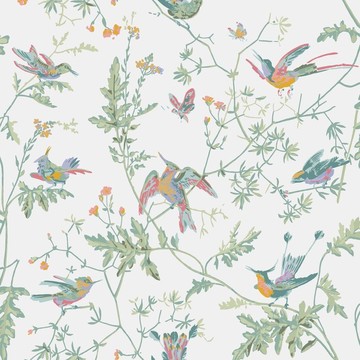 Cole & Son_Icons_Hummingbirds_112-4016