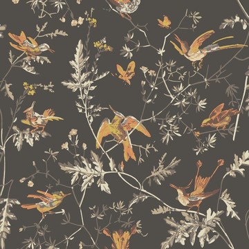 Hummingbirds Charcoal/Ginger 112/4017