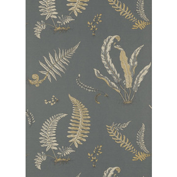 Ferns Charcoal/Bronze BW45044/6