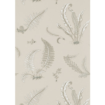 Ferns Linen BW45044/8