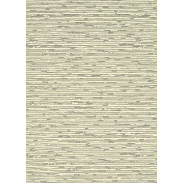 Grasscloth Silver BW45049/5