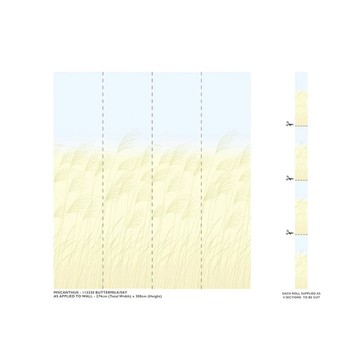 miscanthus mural 113230 mitat