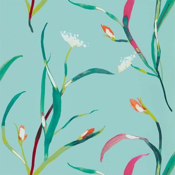 Saona Lagoon/Zest 111755
