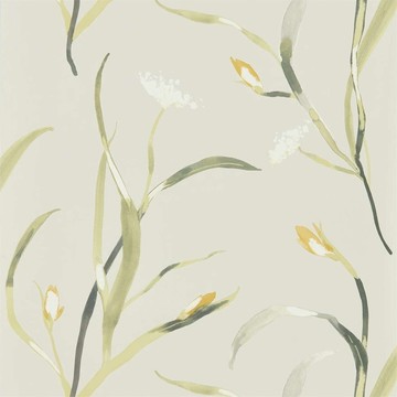 Saona Ochre/Linen 111757