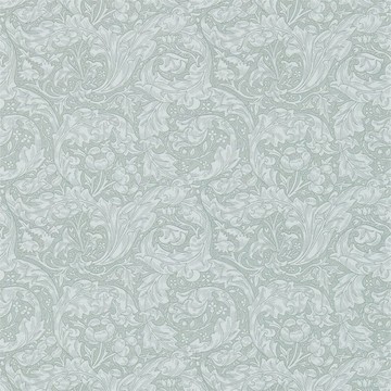 Bachelors Button Silver 214735