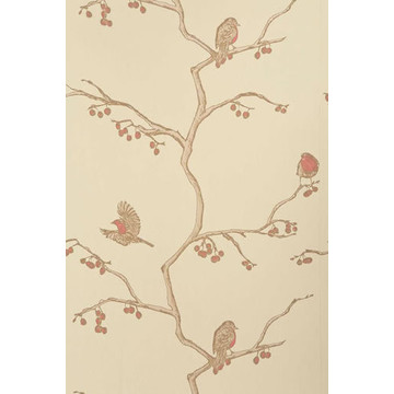 The English Robin Parchment BG0300102