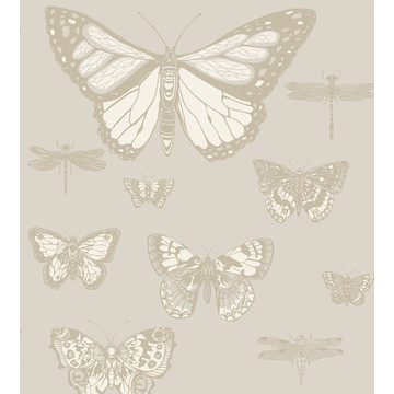 Butterflies &amp; Dragonflies 103/15064 