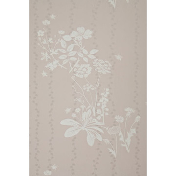 Wild Meadow Plaster BG0200101