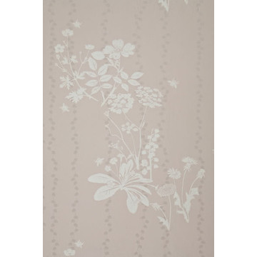 Wild Meadow Plaster BG0200101