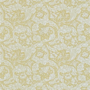 Bachelors Button Gold 214737