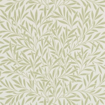 Willow Olive 210383