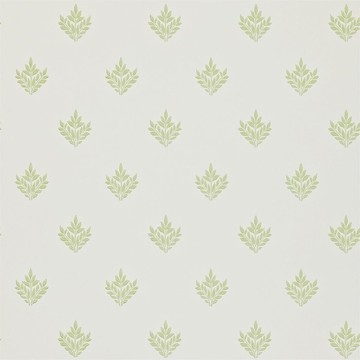 Pearwood Ivory/Thyme 210457