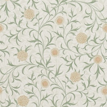 Scroll Thyme/Pear 210365