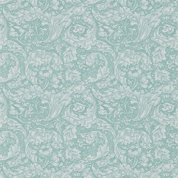 Bachelors Button Blue 214732