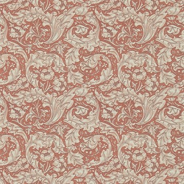 Bachelors Button Russet 214734