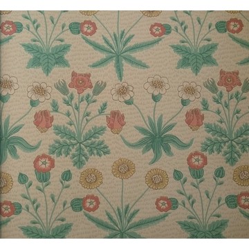 Daisy Manilla/Russet WR8479/1