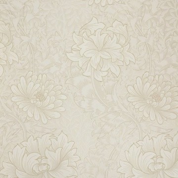 Chrysanthemum Chalk 212546