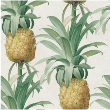 Ananas WP20090