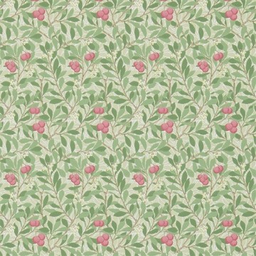 Arbutus Olive/Pink 214720